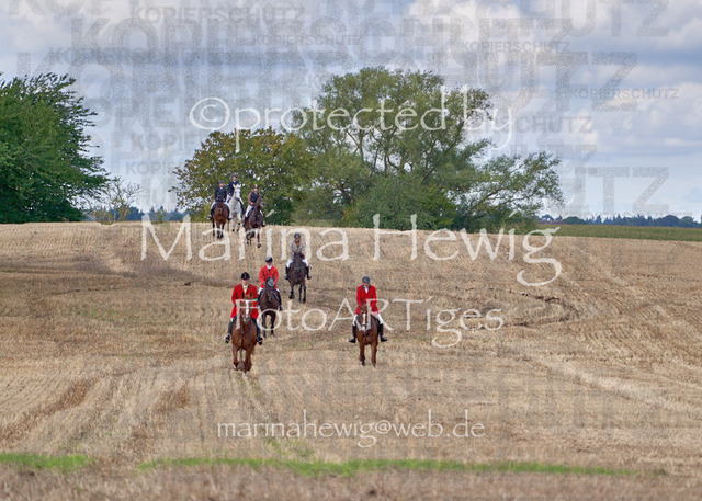 08-23 Bredeneek Jagd_MCH8894_Marina Hewig | Fotografie, FotoArt, PferdesportArt, Pferdesportfotografie, Landschaftsfotografie, Reisefotografie, Reise, Pferde - Realisiert mit Pictrs.com