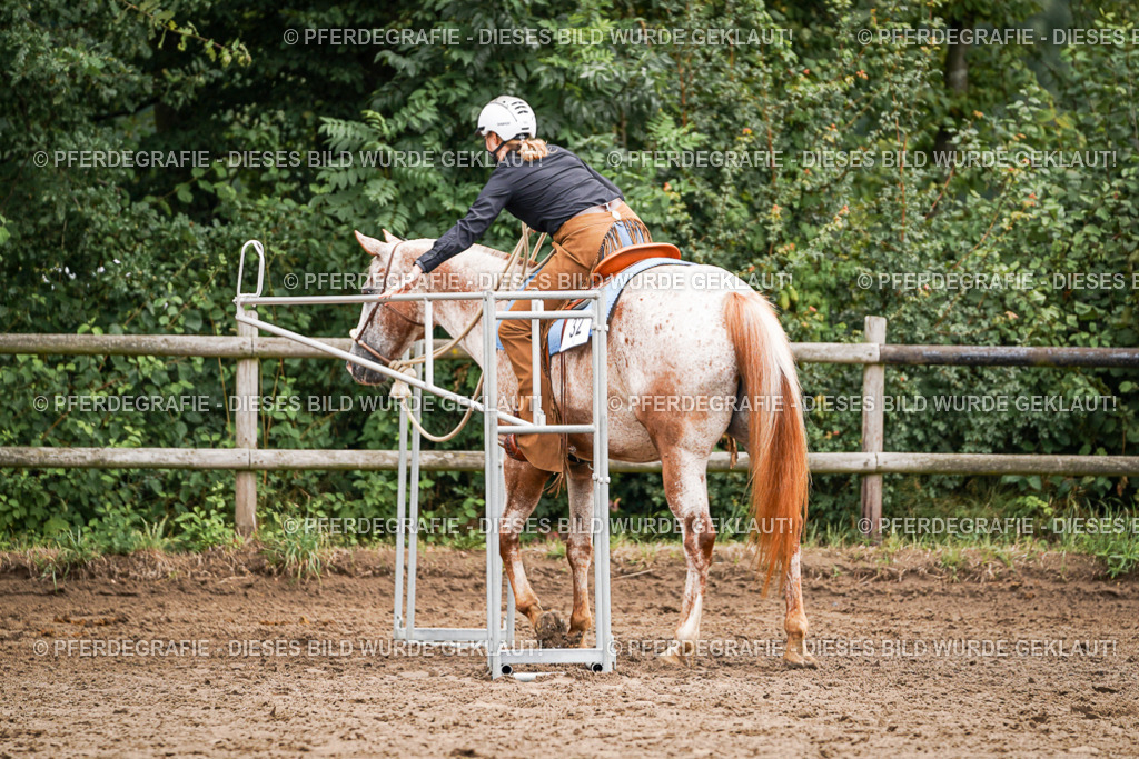 DSC04116 | Pferdegrafie