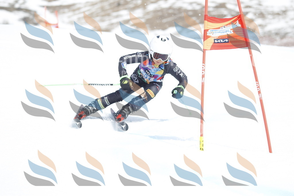 _U3G2918 | holidayphoto