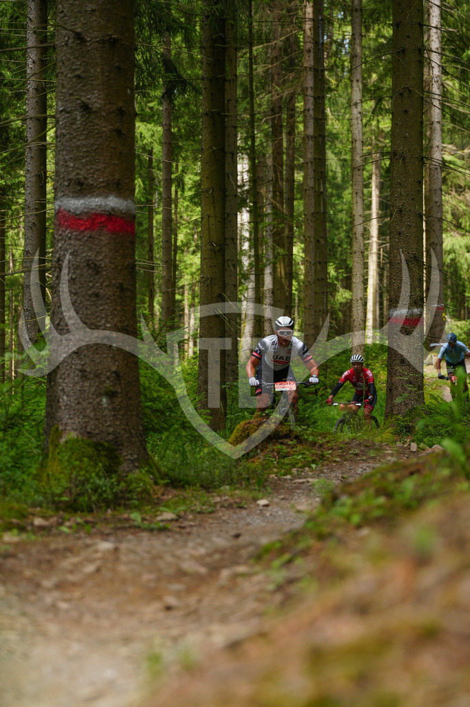 FC603768 | Fotogalerie der Treibjagd im Dunkelwald - Dein MTB Etappenrennen im Erzgebirge - Realisiert mit Pictrs.com