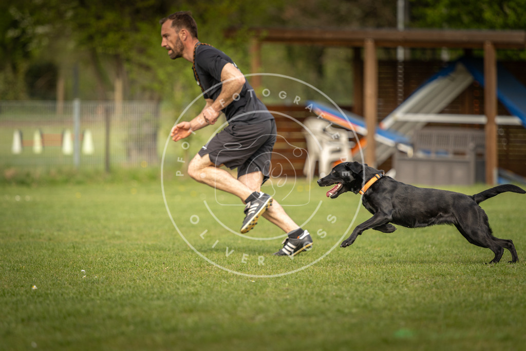 Pfotenfotografie_DV3A5523 | Hundefotografie, Tierfotograf, Pfotenfotografie, Fotoshooting Hund, Hunde Portrait, Hundesport, Hundeportraits, Heideshooting, Hunde, Sportfotograf, Hundefotograf, Turnierhundsport, THS,  - Realisiert mit Pictrs.com