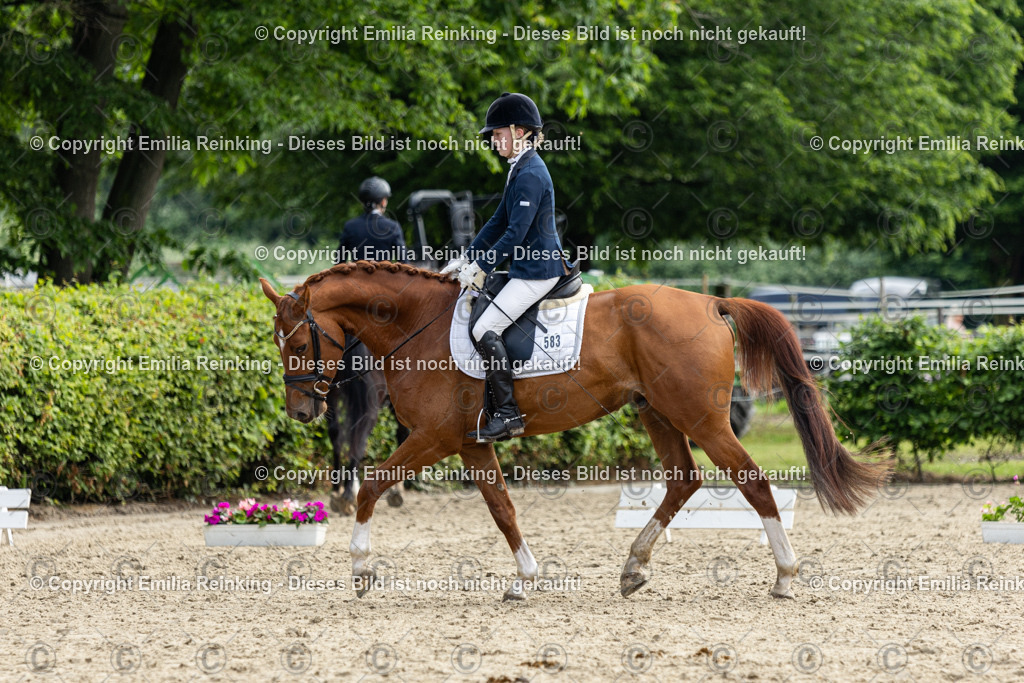 CL5A5129 | Emilia Reinking Fotografie - Realisiert mit Pictrs.com