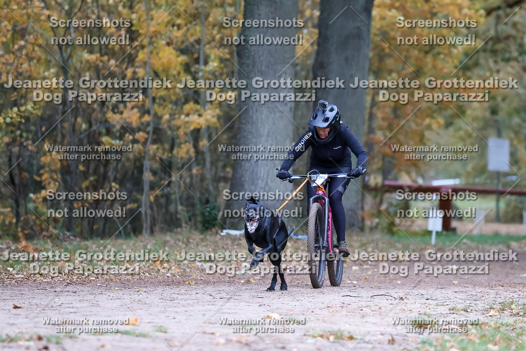 Dog Paparazzi - SD CaniX Championship 2025-70 | Dog Paparazzi Jeanette Grottendiek Fotografie & Videografie - Realisiert mit Pictrs.com