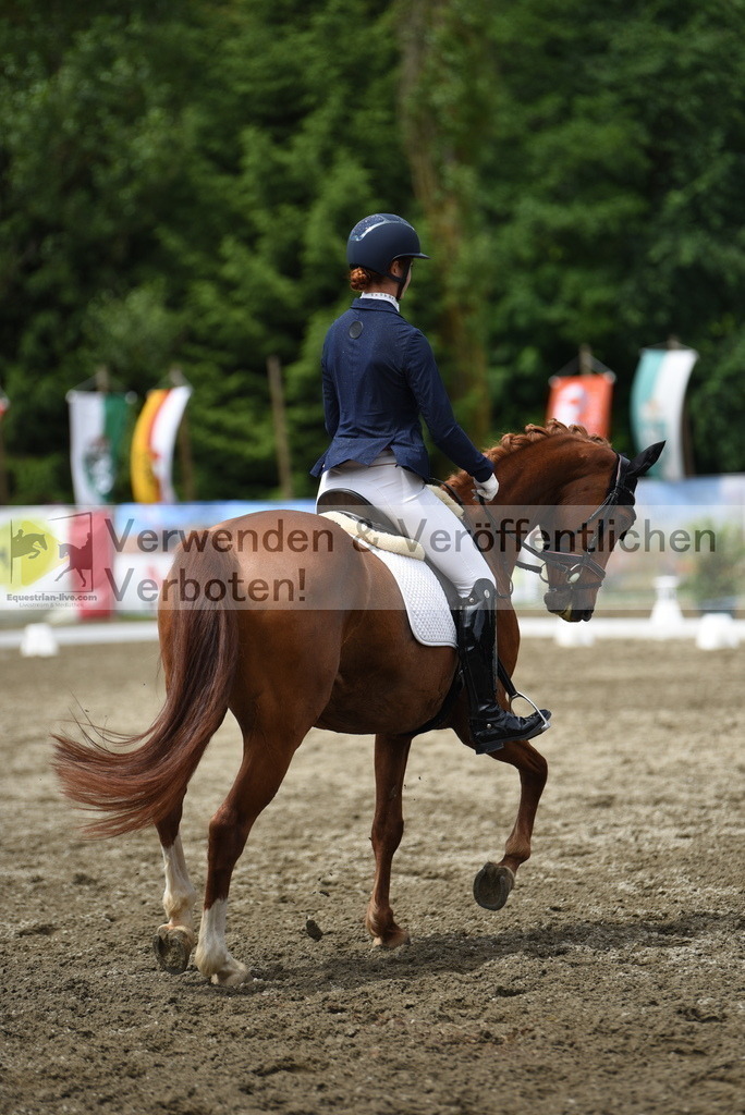 DSC_0949 | equestrian-live-com