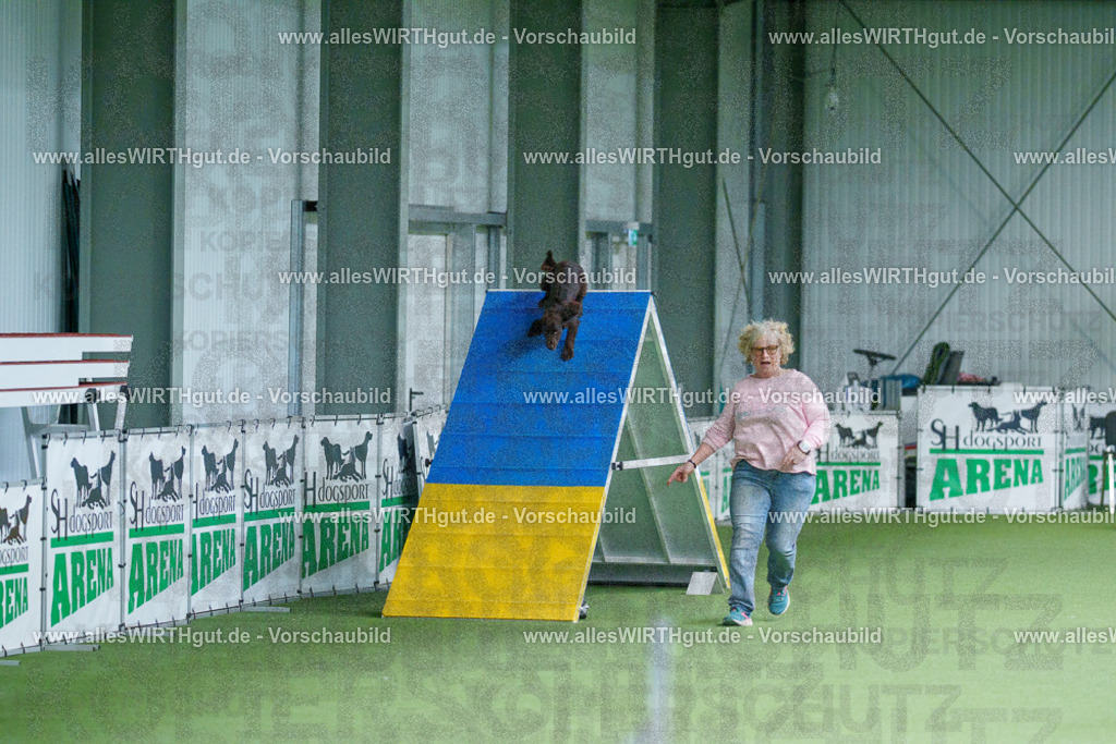 @allesWIRTHgut_Tierfotografie - www.allesWIRTHgut.de - 2604260826-7R506888 | Professionelle Tierfotografie in Mönchengladbach von Daniel Wirth (allesWIRTHgut). Liebevolle & natürliche Bilder von Hunden & Katzen für unvergessliche Erinnerungen.