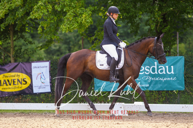 DKP42217 | Turniersportfotografie; Pferdefotografie; Dressurfotografie