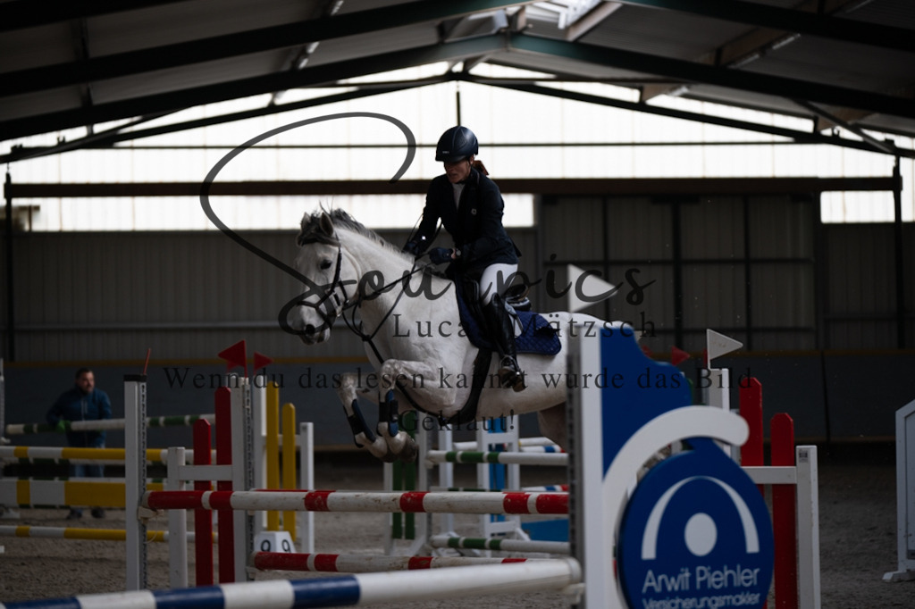 A7V08316 | Pferdefotograf