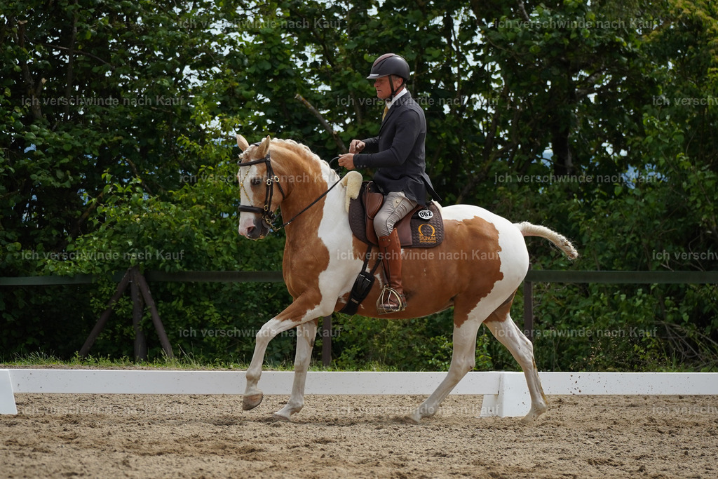 KlasseS_Lucie568 | working equitationturnier fotograf videograf stoibphotography marixx film working equitation deutschland reitsport turnierfotografie eventfotografie equestrian events