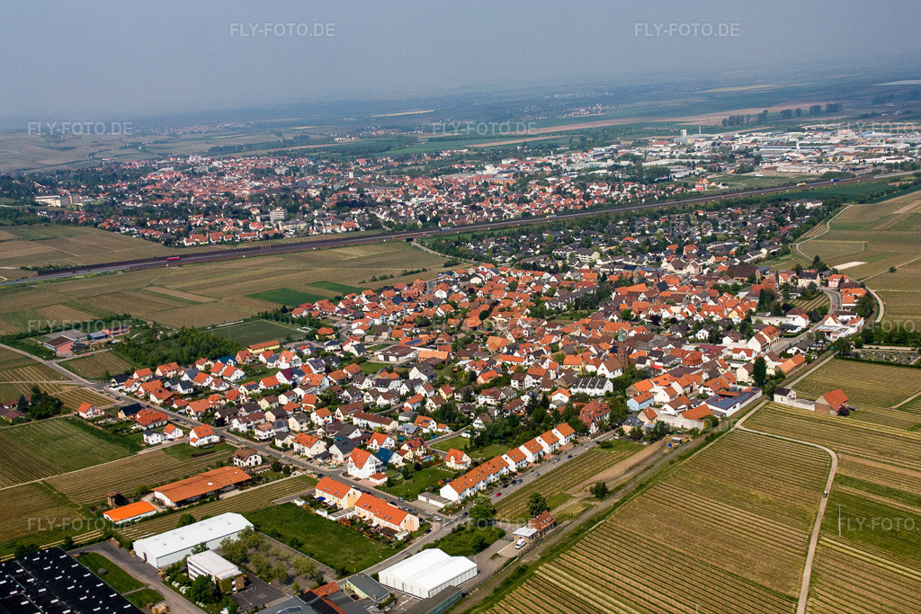 Luftbild: Ortsansicht von Süden im Ortsteil Sausenheim in Grünstadt im Bundesland Rheinland-Pfalz in Deutschland. Foto: IMG_18068.jpg vom 02.05.2009 durch Werner Riehm/FLY-FOTO.de