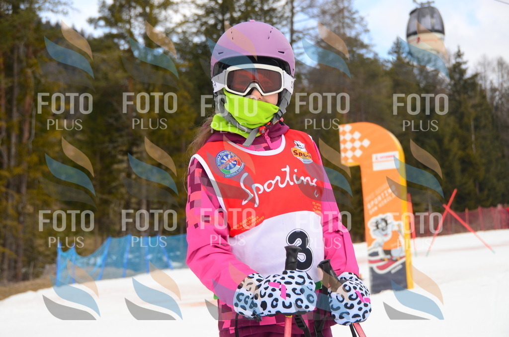 C1305 | holidayphoto