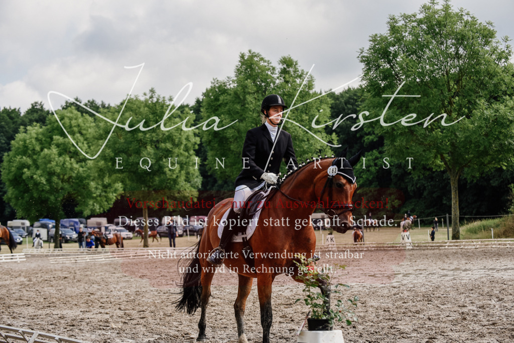 DSC_9778 | Pferde- und Turnierfotografie in Westsachsen. Pferdeportraits, Auftragszeichnungen und intuitive Kunst.