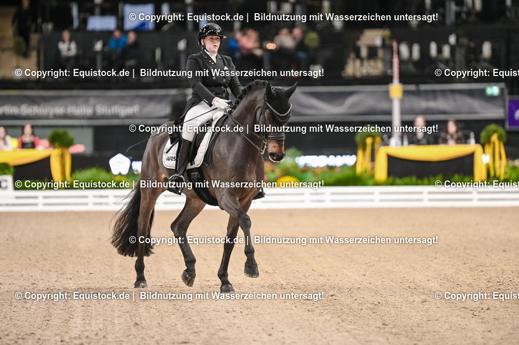 20251112_Dressur_iWest_TOMSPIC_01310131 | Foto: Thomas Hartig