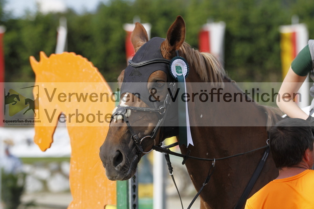 _MG_6402 | equestrian-live-com