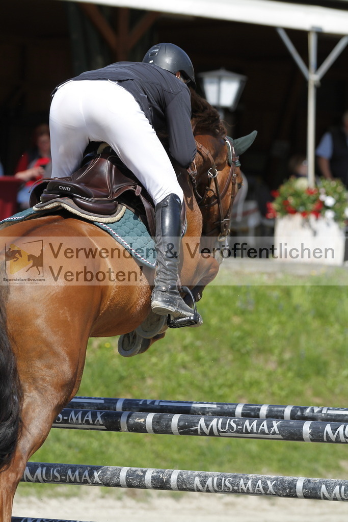 _MG_9373 | equestrian-live-com