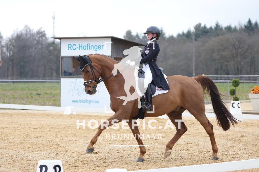 0P6A4989 | Willkommen bei Brunnmayr - Design & Fotografie – Ihrem Spezialisten für Reitturniere und Pferdeveranstaltungen in Oberösterreich, Salzburg und Bayern! Seit über 17 Jahren sind wir leidenschaftlich dabei.