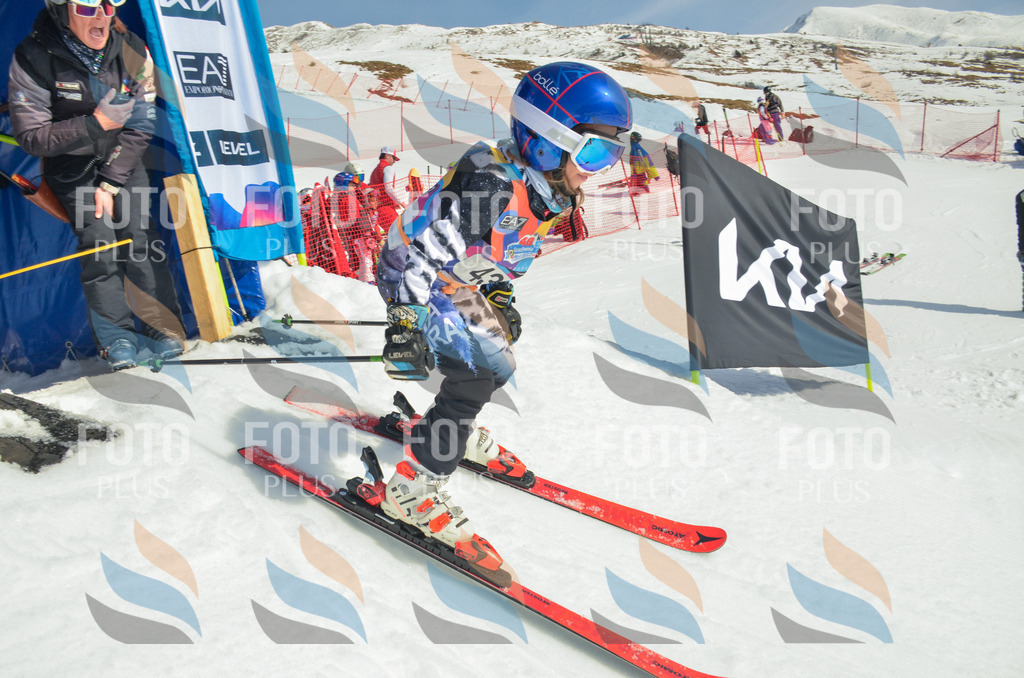 _ELE5079 | holidayphoto