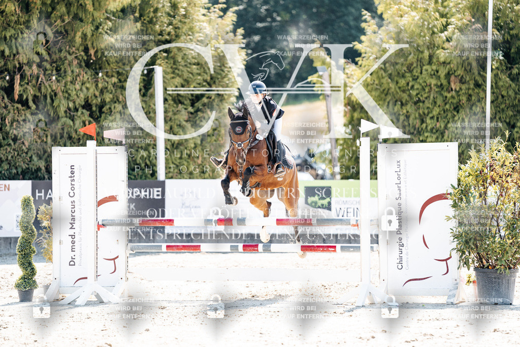 CK909307 | Turnierfotografie Pferdefotografie Trier Rheinland-Pfalz Pferdesport Reitsport Tierfotografie Sportfotografie Pferdevideo Pferdevideografie Equestrianvideography equestrianphotography  - Realisiert mit Pictrs.com