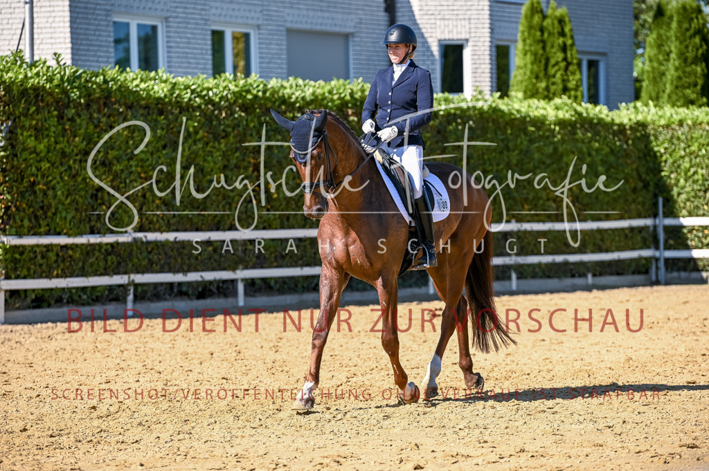 Schugtsche-Aluta25-50.Dressurpferdeprf.L-226 | Schugtsche Fotografie - Realisiert mit Pictrs.com