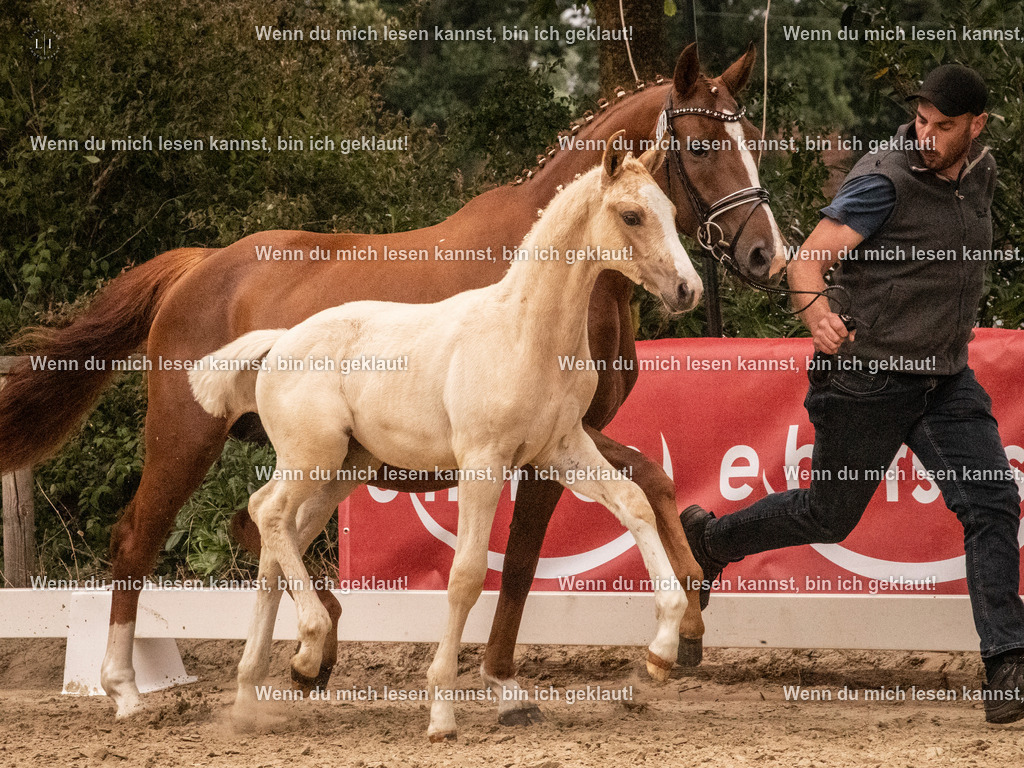 A10I0980 | photographylinaismer - Realisiert mit Pictrs.com