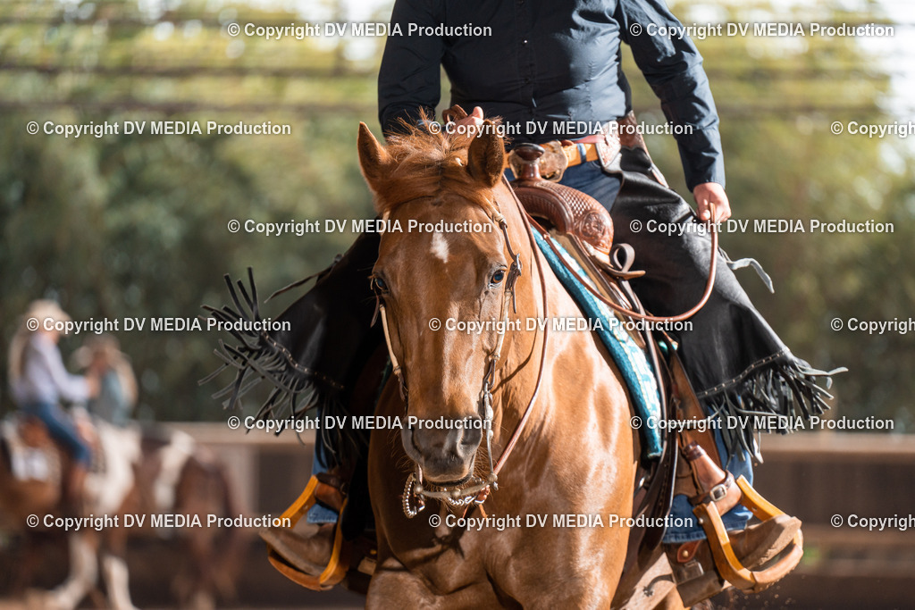 Erbach Tag 2-582 | dv-media-shop - Realisiert mit Pictrs.com