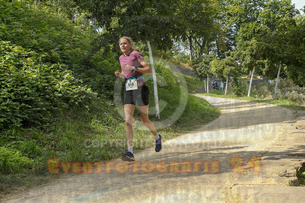 250824_1506_EX1_8495 | Sportfotografie im Rhein-Sieg Kreis, Köln, Bonn, NRW, Rheinland Pfalz, Hessen, etc. Unser Tätigkeitsfeld umfasst den Laufsport vom Volkslauf über den Marathon, Duathlon, Triathon bis zum Ultralauf wie Kölnpfad Ultra oder Schindertrail.