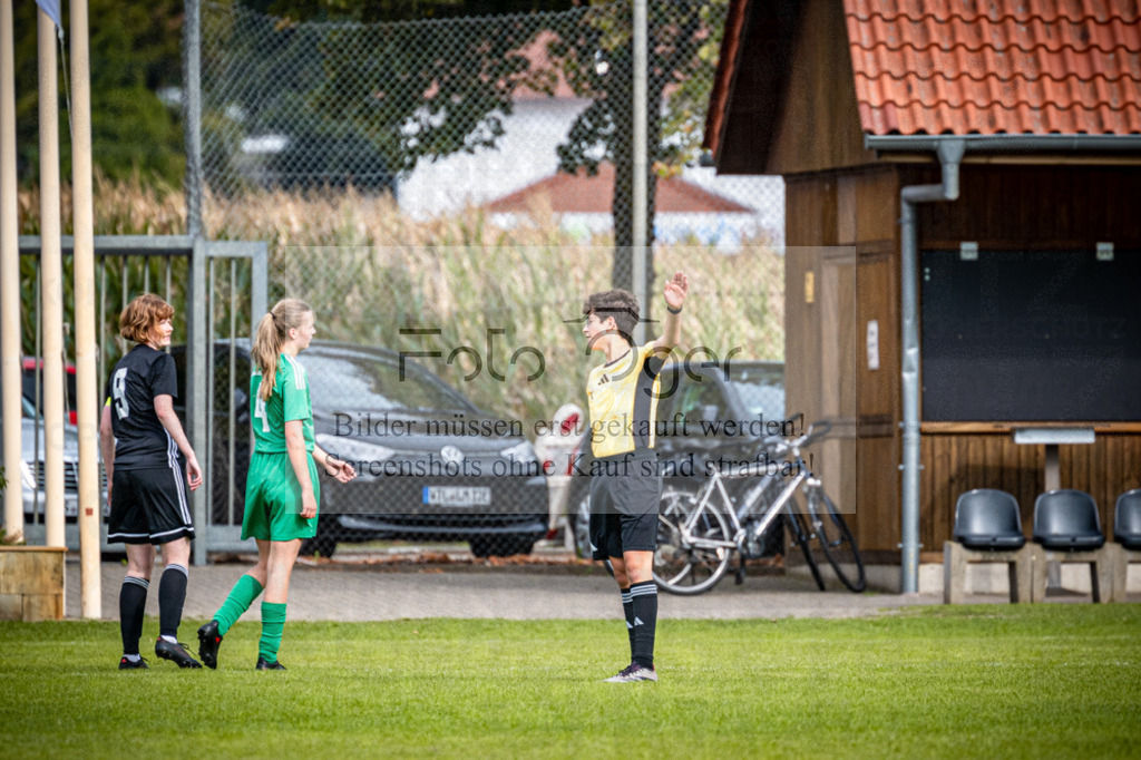 SG Bohmte/Ostercappeln/Schwagstorf - SG Hollenstede / Schwagstorf | Fr.-BZL Weser-Ems Süd · 1. Damen - SG Hollenstede / Schwagstorf · Sportplatz - Realisiert mit Pictrs.com