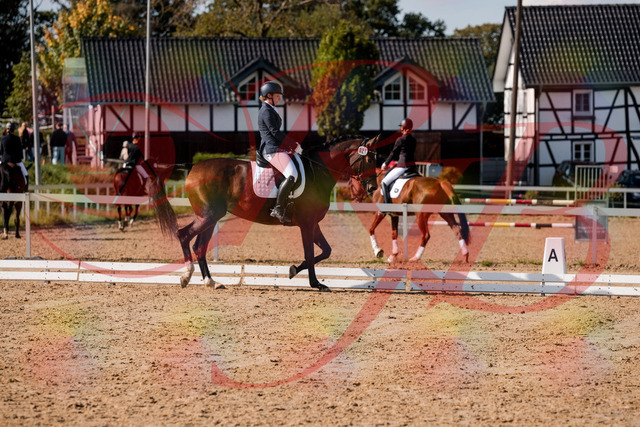 2026_10_03_Siefer-Hof_125529_Z63_61788378 | Professionelle Reitsport-, Turnier- und Eventfotografie von Robert Broda. Galerien mit ausgewählten und bearbeiteten Bildern direkt online ansehen und bestellen.