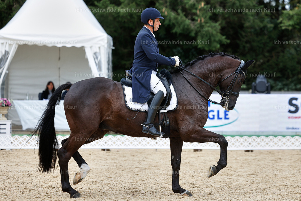 11-058-Dressur S___-StoibPH-1483 | working equitationturnier fotograf videograf stoibphotography marixx film working equitation deutschland reitsport turnierfotografie eventfotografie equestrian events