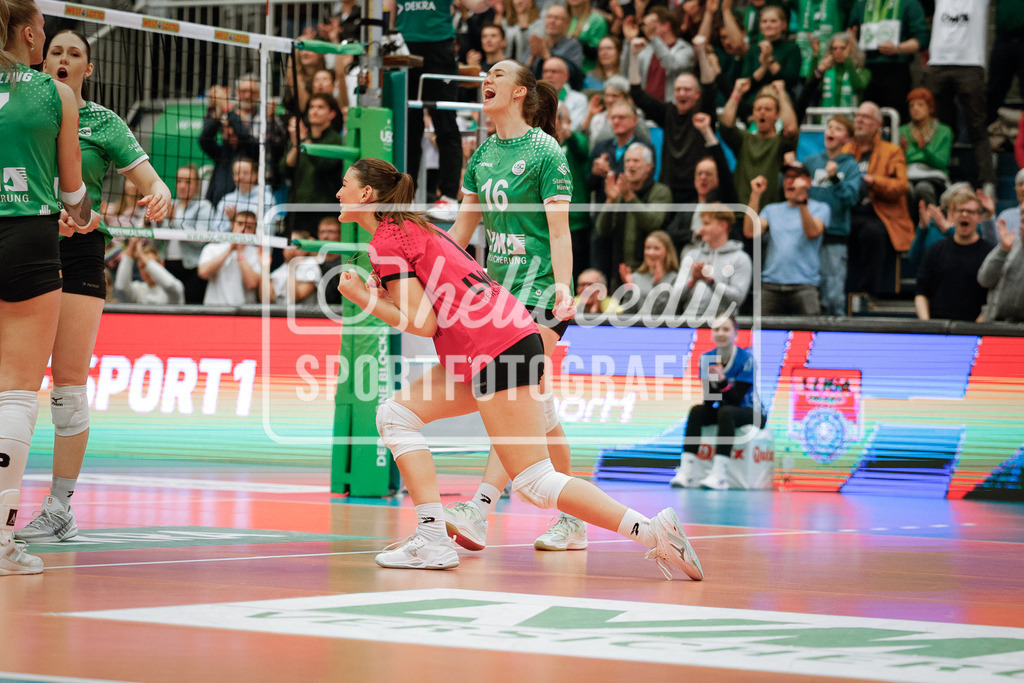 Volleyball I Frauen I Saison 2025-2026 I Bundesliga I Playoff-Viertelfinale 2 I USC Münster - Dresdner SC-76 | realhellocedii - Realisiert mit Pictrs.com