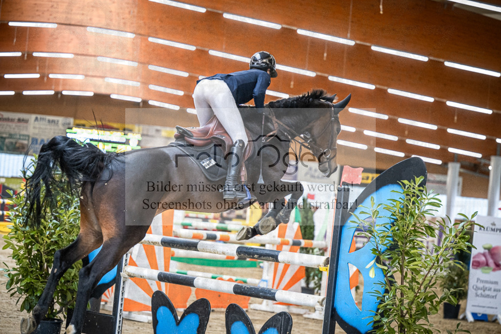 DOS_2052 | Entdecke hochwertige Reitturnierfotos von Foto Oger. Professionell, emotional und authentisch – jetzt Lieblingsmomente im Shop bestellen.Deutschlandweite Turnierfotografie. - Realisiert mit Pictrs.com