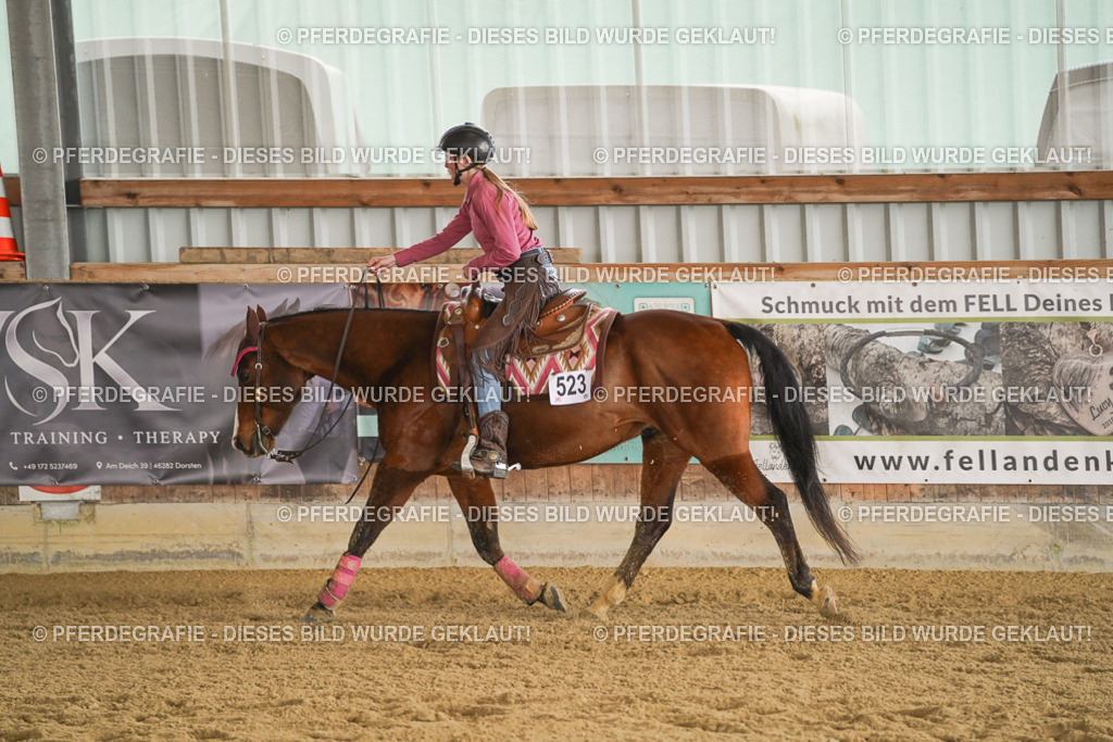 DSC08601 | Pferdegrafie