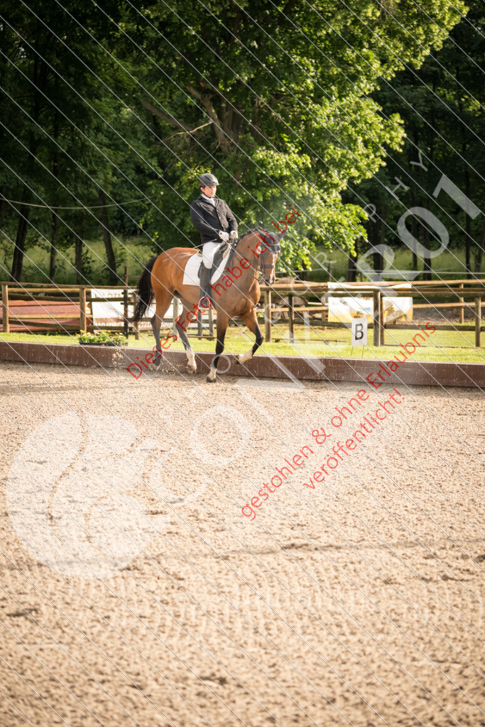 DSC_1132 | Conker01_Photography | Dennis Anderle - Portraitfotografie,