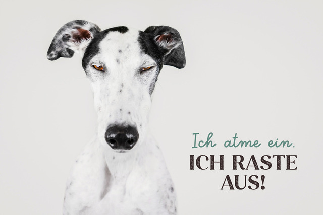 Patch rastet aus! | "Ich atme ein. Ich raste aus!"