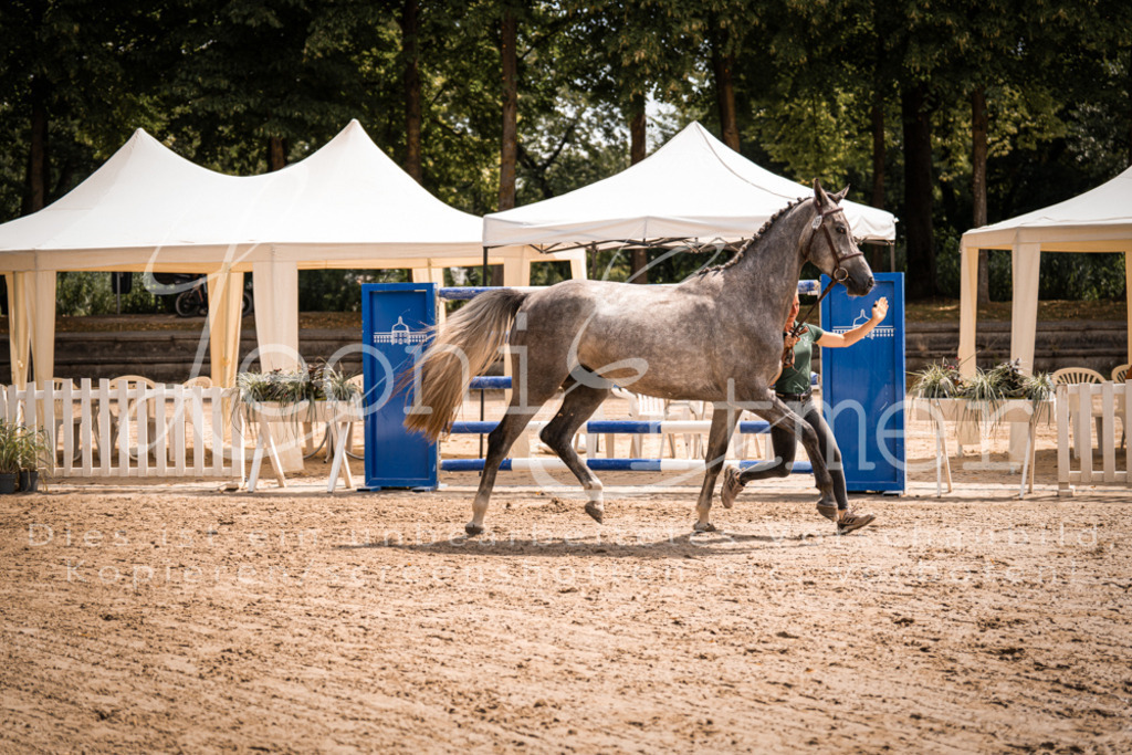 1.Fr00185 | Leoni Ertmer Photography - Realisiert mit Pictrs.com