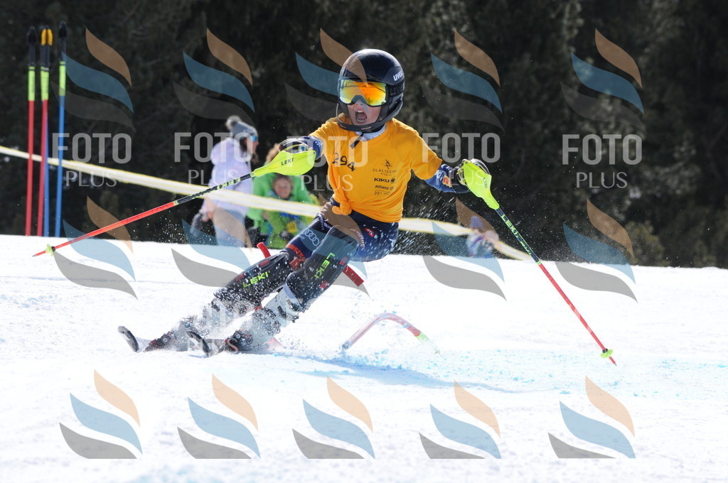 C9080 | holidayphoto