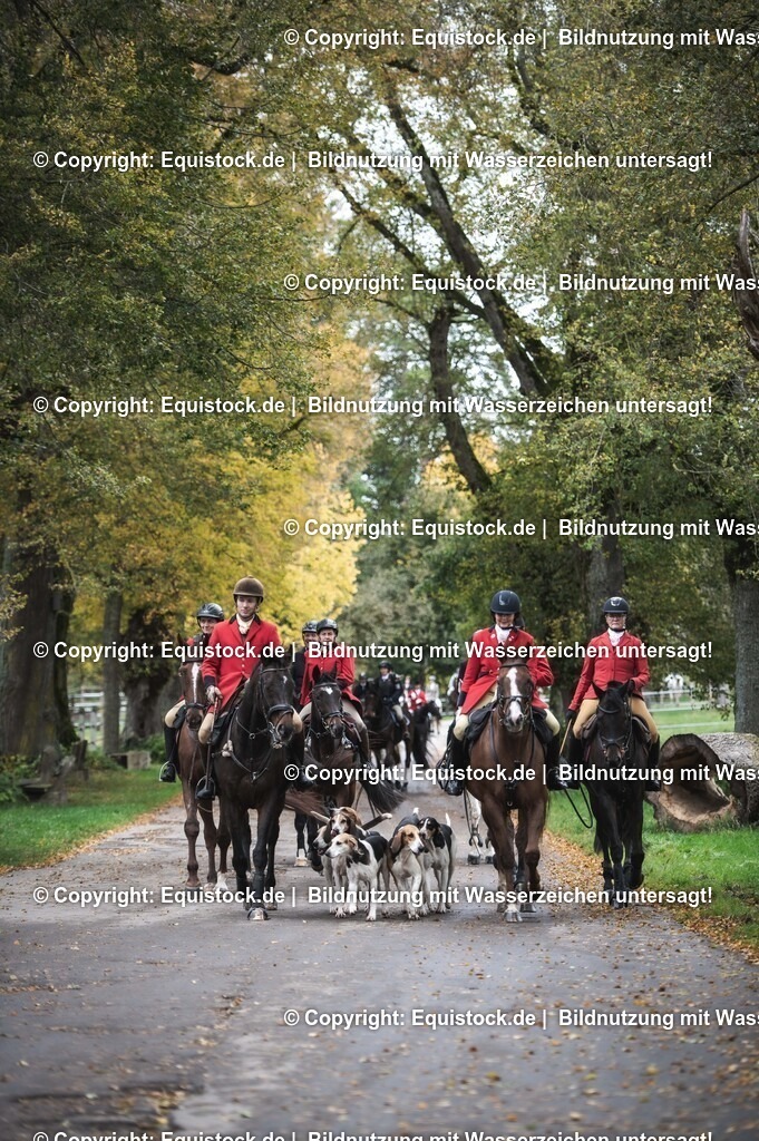 20241013_Jagd-Marbach_0490 | Foto: Thomas Hartig