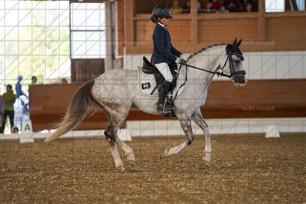 20240824-FAH07231 | Thierhaupten 2024, Bayerisches Landesponyturnier, Turnierbilder, Ponybilder, Turnierfotografen Bayern, Fotoagentur Herrmann