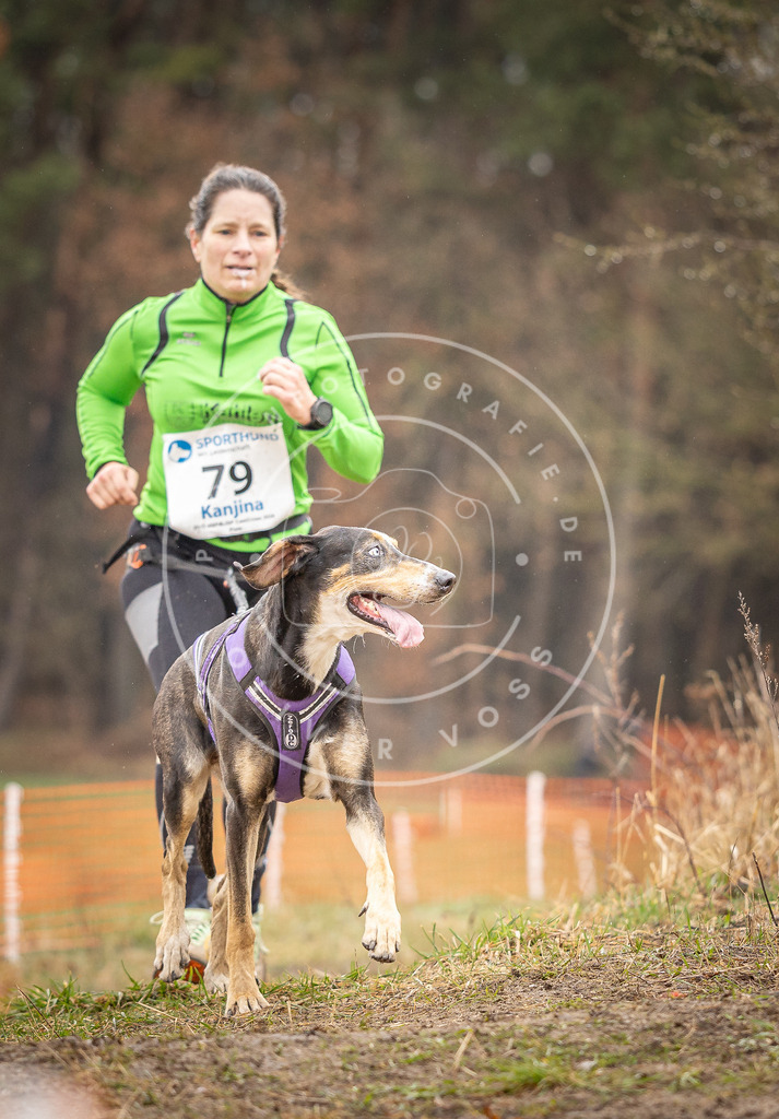 DV3A0322 | Hundefotografie, Tierfotograf, Pfotenfotografie, Fotoshooting Hund, Hunde Portrait, Hundesport, Hundeportraits, Heideshooting, Hunde, Sportfotograf, Hundefotograf, Turnierhundsport, THS,  - Realisiert mit Pictrs.com