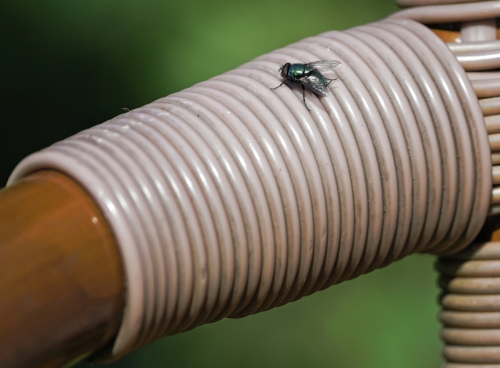 Z72_4251 | Freier Fotograf aus Itzehoe. Kontakt via instagram.com/f0t0kunst/ - Realisiert mit Pictrs.com