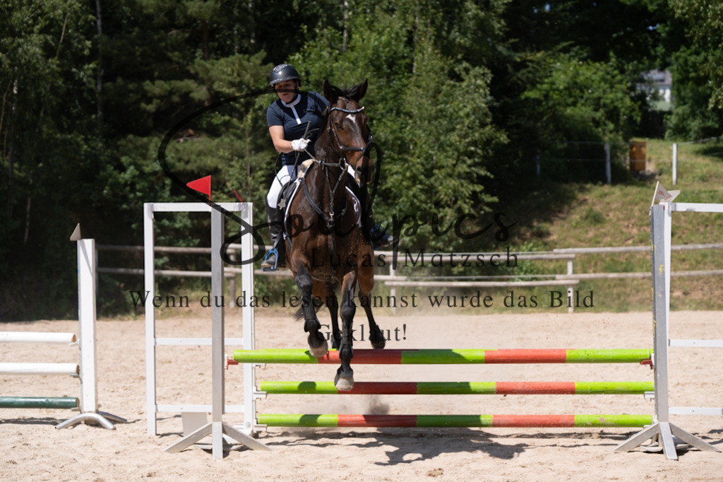 A7V08547 | Pferdefotograf