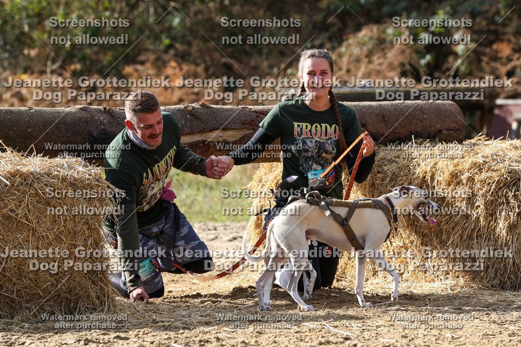 Dog Paparazzi - Strongdog 10-25-5772 | Dog Paparazzi Jeanette Grottendiek Fotografie & Videografie - Realisiert mit Pictrs.com