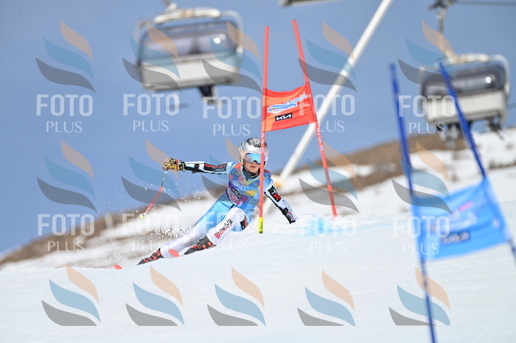 BGV_3160 | holidayphoto