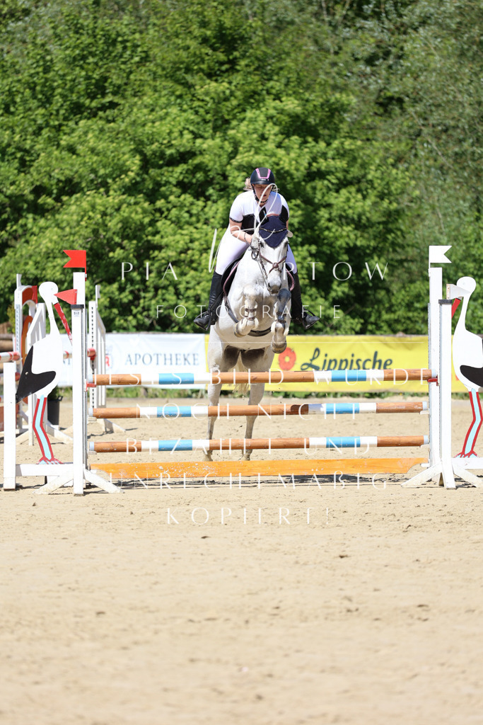 IMGS8249 | pl-fotografie