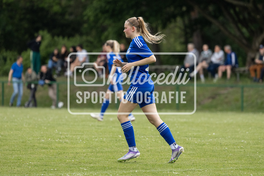 Fußball I Frauen I Saison 2025-2026 I Oberliga Niedersachsen I FC Jesteburg-Bendestorf - BW Hollage I 12696 | realhellocedii - Realisiert mit Pictrs.com