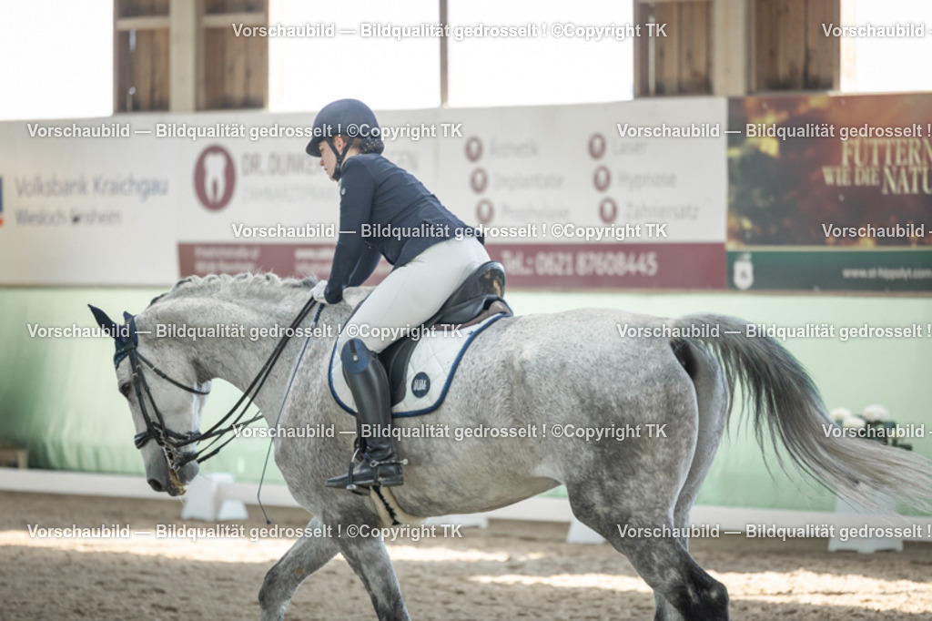 _D5A2688 | Emotionale Pferde- & People-Fotografie rund um Heidelberg, Leimen & Umgebung. Natürliche Fotos von Pferd, Mensch & Familie. Jetzt Termin sichern!