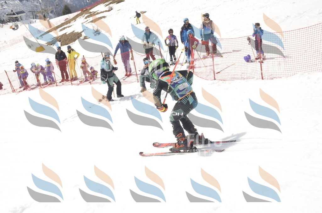 _ELE8454 | holidayphoto