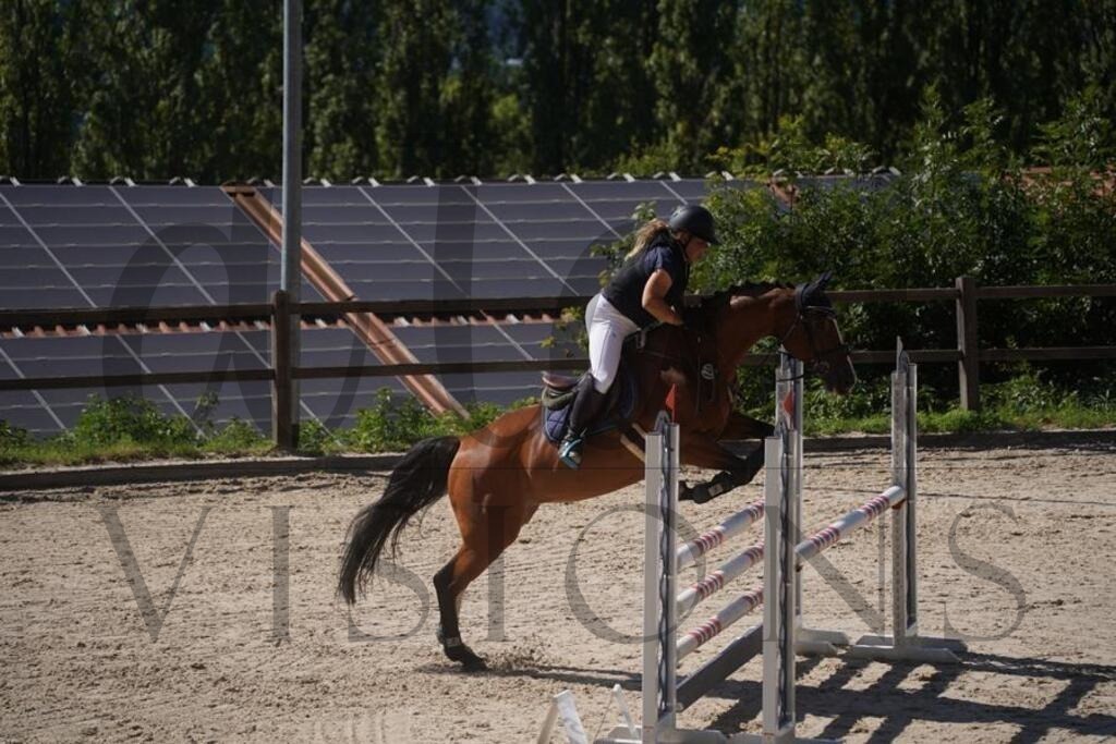 tgbhsonntag (839) | d.tail Visions - Shop - Realisiert mit Pictrs.com