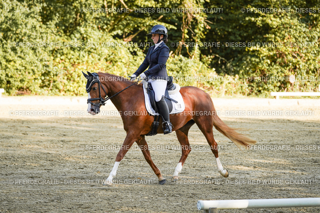 DSC06002 | Pferdegrafie