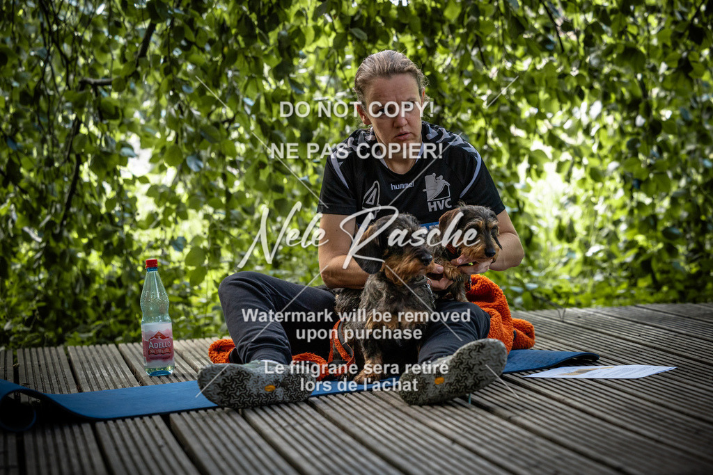 nelerasche_SaN_181 | nelerasche