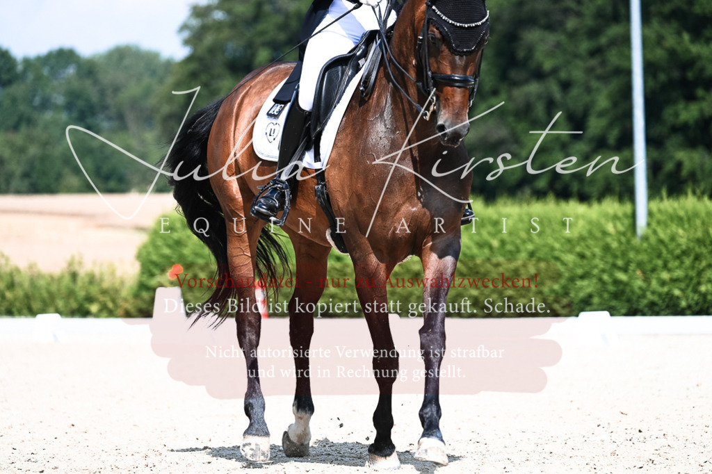 DSC_3062 | Pferde- und Turnierfotografie in Westsachsen. Pferdeportraits, Auftragszeichnungen und intuitive Kunst.